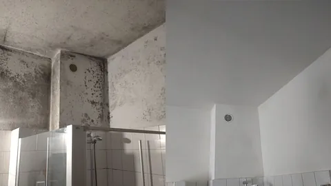 Schimmelsanierung - Malerei Jens Peter Jansen